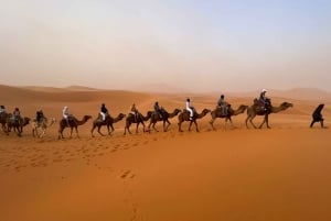 De Marrakech a Agadir: tour de 3 días por el desierto del Sahara