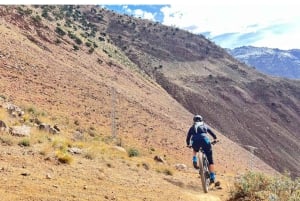 Agafay-Wüste, Kamelritt, marokkanisches Abendessen und Feuershow