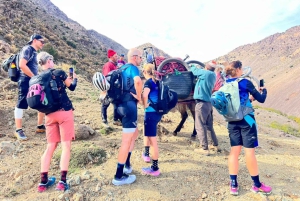 Agafay-Wüste, Kamelritt, marokkanisches Abendessen und Feuershow