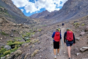 Marrakech to Atlas Mountains: Hike Imlil Valley with & lunch