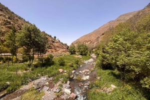 Marrakech to Atlas Mountains: Hike Imlil Valley with & lunch