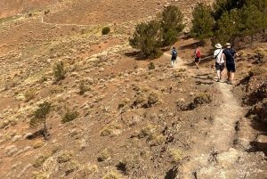 Marrakech to Atlas Mountains: Hike Imlil Valley with & lunch