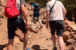Marrakech to Atlas Mountains: Hike Imlil Valley with & lunch