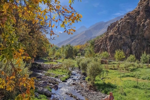 Marrakech to Atlas Mountains: Hike Imlil Valley with & lunch