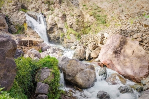 Марракеш - Атласские горы : Прогулка по долине Имлиль с обедом