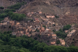 Марракеш - Атласские горы : Прогулка по долине Имлиль с обедом