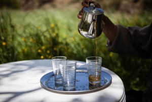 Марракеш - Атласские горы : Прогулка по долине Имлиль с обедом