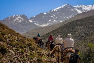 Марракеш - Атласские горы : Прогулка по долине Имлиль с обедом
