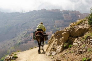 Марракеш - Атласские горы : Прогулка по долине Имлиль с обедом