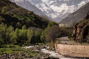 Марракеш - Атласские горы : Прогулка по долине Имлиль с обедом