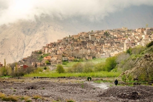 Марракеш - Атласские горы : Прогулка по долине Имлиль с обедом