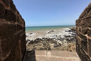 Da Marrakech: Escursione a Essaouira con cammello, cavallo e quad