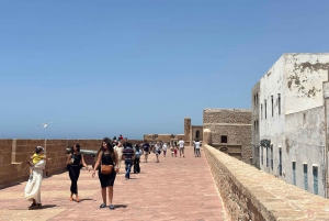 Da Marrakech: Escursione a Essaouira con cammello, cavallo e quad