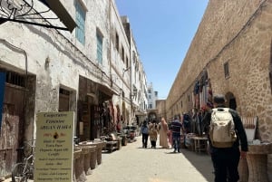 Da Marrakech: Escursione a Essaouira con cammello, cavallo e quad