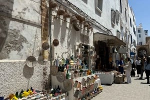 Da Marrakech: Escursione a Essaouira con cammello, cavallo e quad