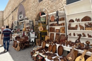 Da Marrakech: Escursione a Essaouira con cammello, cavallo e quad