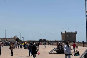 Da Marrakech: Escursione a Essaouira con cammello, cavallo e quad