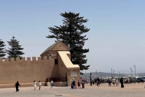 Da Marrakech: Escursione a Essaouira con cammello, cavallo e quad