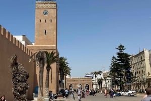 Da Marrakech: Escursione a Essaouira con cammello, cavallo e quad