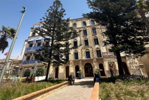 Da Marrakech: Escursione a Essaouira con cammello, cavallo e quad