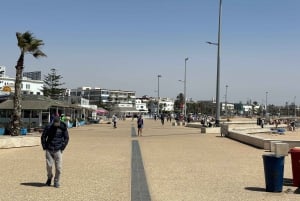 Da Marrakech: Escursione a Essaouira con cammello, cavallo e quad