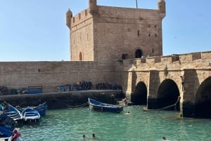 Da Marrakech: Escursione a Essaouira con cammello, cavallo e quad