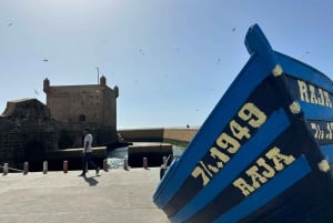 Da Marrakech: Escursione a Essaouira con cammello, cavallo e quad