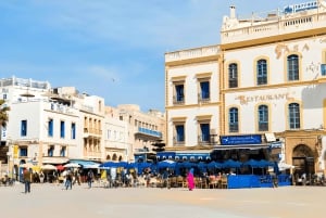 Da Marrakech: Escursione a Essaouira con cammello, cavallo e quad