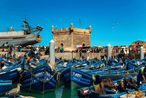 Da Marrakech: Escursione a Essaouira con cammello, cavallo e quad