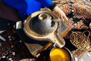 Da Marrakech: Escursione a Essaouira con cammello, cavallo e quad