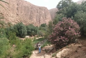 Marrakesch nach Fes 3-tägige Wüstentour mit Kamel und Luxuszelt