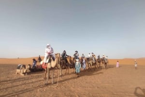 Marrakesch nach Fes 3-tägige Wüstentour mit Kamel und Luxuszelt