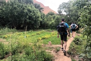 Marrakesch nach Fes 3-tägige Wüstentour mit Kamel und Luxuszelt