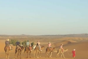 Marrakesch nach Fes 3-tägige Wüstentour mit Kamel und Luxuszelt