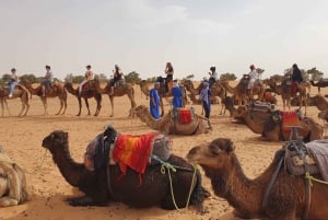 Marrakesch nach Fes 3-tägige Wüstentour mit Kamel und Luxuszelt