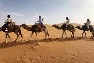 Marrakesch nach Fes 3-tägige Wüstentour mit Kamel und Luxuszelt