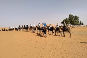Marrakesch nach Fes 3-tägige Wüstentour mit Kamel und Luxuszelt