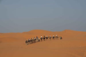 Marrakesch nach Fes 3-tägige Wüstentour mit Kamel und Luxuszelt