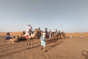 Marrakech to Fes 3 day Desert Tour Camel Trips & Luxury Camp