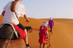 Marrakech to Fes 3 day Desert Tour Camel Trips & Luxury Camp