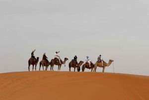 Marrakech to Fes 3 day Desert Tour Camel Trips & Luxury Camp