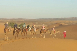 Marrakech to Fes 3 day Desert Tour Camel Trips & Luxury Camp