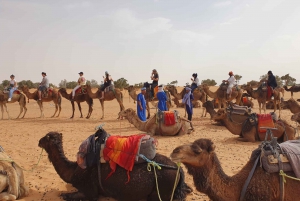 Marrakech to Fes 3 day Desert Tour Camel Trips & Luxury Camp