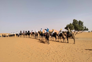 Marrakech to Fes 3 day Desert Tour Camel Trips & Luxury Camp