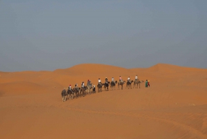 Marrakech to Fes 3 day Desert Tour Camel Trips & Luxury Camp