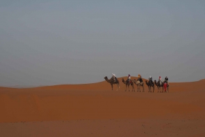 Marrakech to Fes 3 day Desert Tour Camel Trips & Luxury Camp