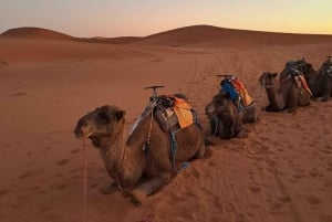 Marrakech till Fes 3 dagars Sahara-tur via Merzouga-öknen