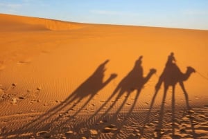 Marrakech naar Fes 3 dagen Sahara rondreis via merzouga woestijn