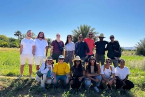 Da Marrakech a Fes 3 giorni di tour del Sahara via deserto di Merzouga