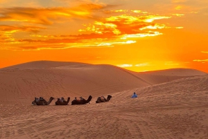 Marrakechista Fesiin: 3 päivän Merzougan aavikko, ylellinen yksityisteltta